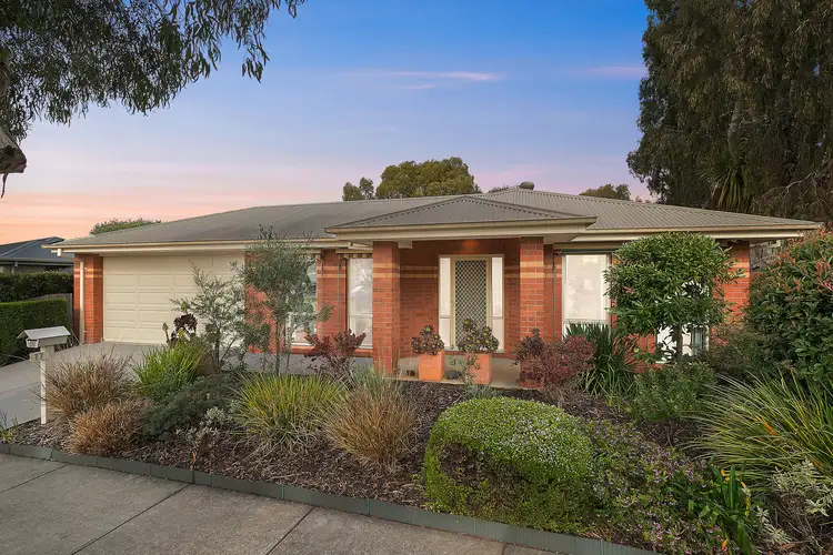 Main view of Homely house listing, 17 Ficinia Mews, Highton VIC 3216