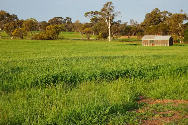 Main view of Homely rural property listing, Lot 1 Narrogin Valley Road, Narrogin Valley WA 6312