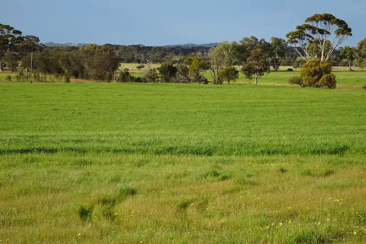 Third view of Homely rural property listing, Lot 1 Narrogin Valley Road, Narrogin Valley WA 6312