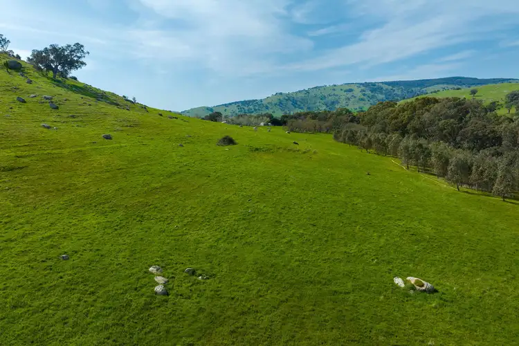 Sixth view of Homely rural property listing, 383 Sheans Creek Road, Sheans Creek VIC 3666