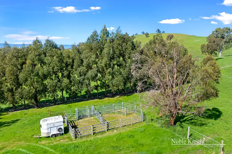 Fifth view of Homely rural property listing, 185 McLeishs Road, Yea VIC 3717