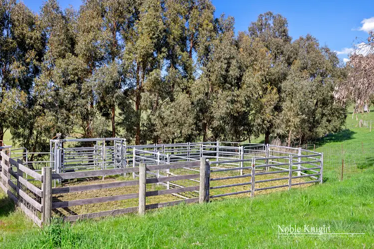 Sixth view of Homely rural property listing, 185 McLeishs Road, Yea VIC 3717