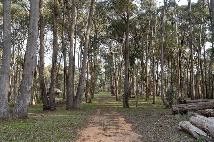 Second view of Homely rural property listing, 684 Tames Road, Strathbogie VIC 3666