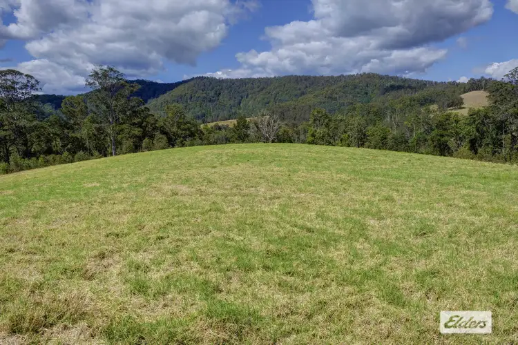 Second view of Homely rural property listing, 2911 Bulga Road, Bobin NSW 2429