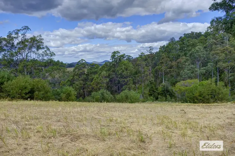 Sixth view of Homely rural property listing, 2911 Bulga Road, Bobin NSW 2429