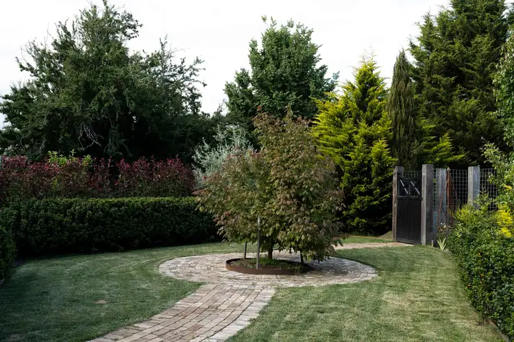 Fifth view of Homely rural property listing, 350 Meangora Road, Nerriga NSW 2622