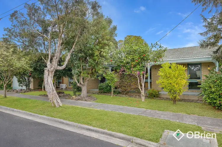 20 Culburra Avenue, Frankston VIC 3199