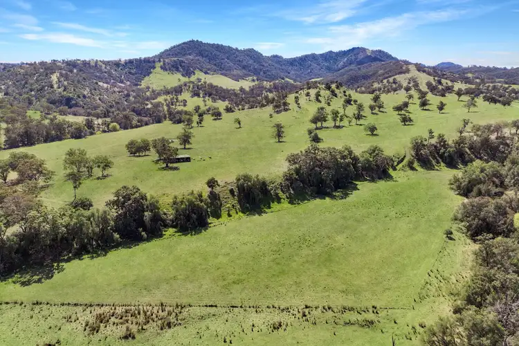 Fourth view of Homely rural property listing, 2A MacCallum Street, Moonan Flat NSW 2337
