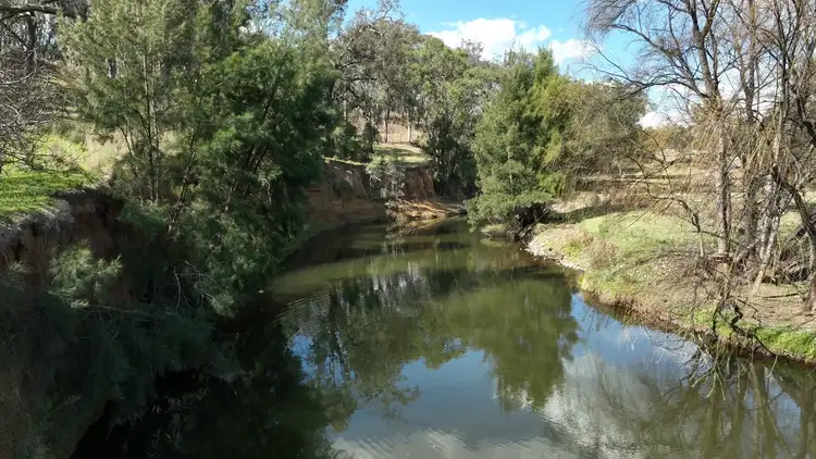 Sixth view of Homely rural property listing, 2A MacCallum Street, Moonan Flat NSW 2337