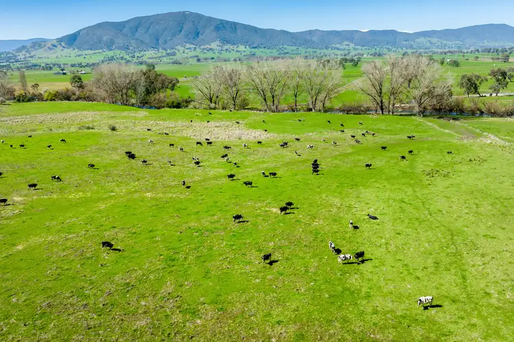 Third view of Homely rural property listing, OVER THE CREEK, Corryong VIC 3707
