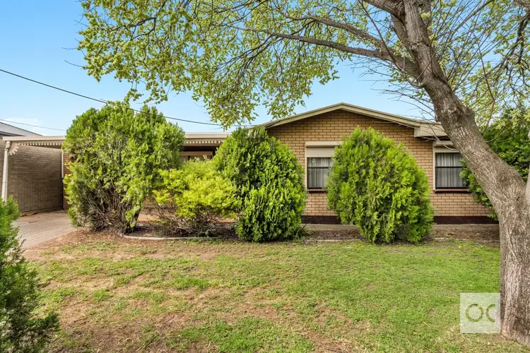 13 Danby Avenue, Windsor Gardens SA 5087