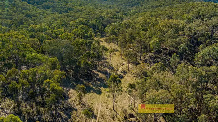 Main view of Homely rural property listing, 211 Bara Road, Mudgee NSW 2850