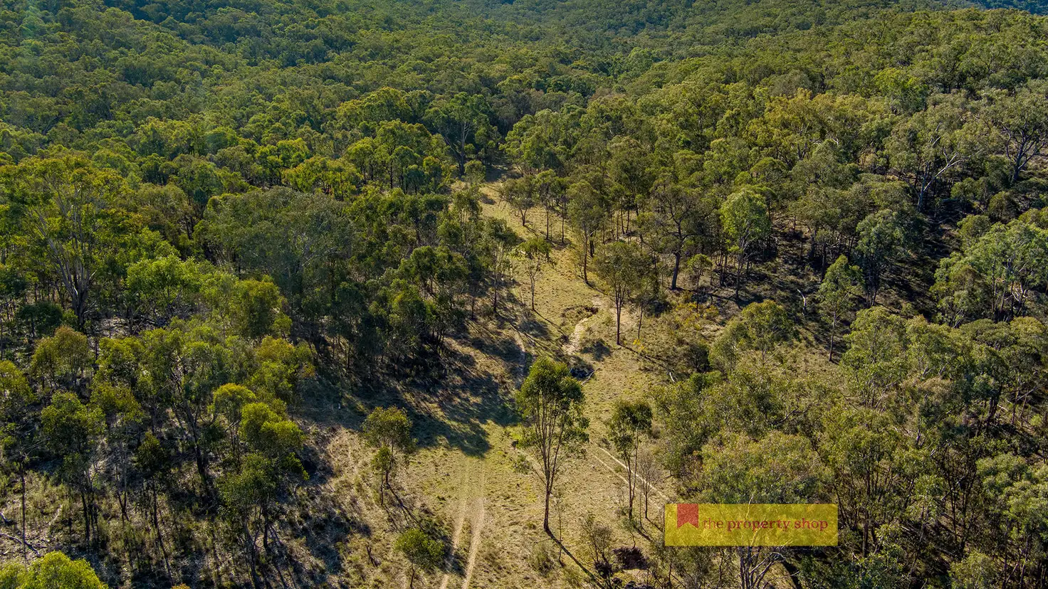 Main view of Homely rural property listing, 211 Bara Road, Mudgee NSW 2850