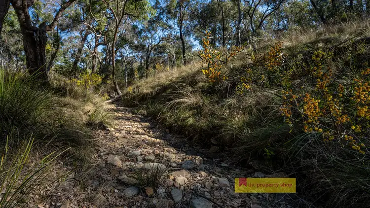 Sixth view of Homely rural property listing, 211 Bara Road, Mudgee NSW 2850