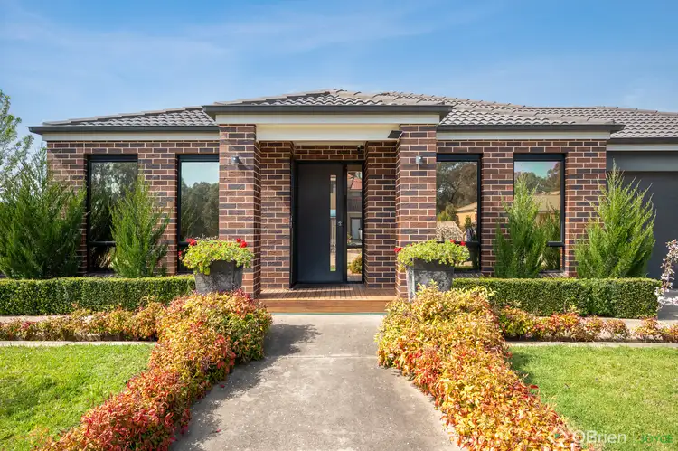 Main view of Homely house listing, 12 Blackwood Drive, Wangaratta VIC 3677
