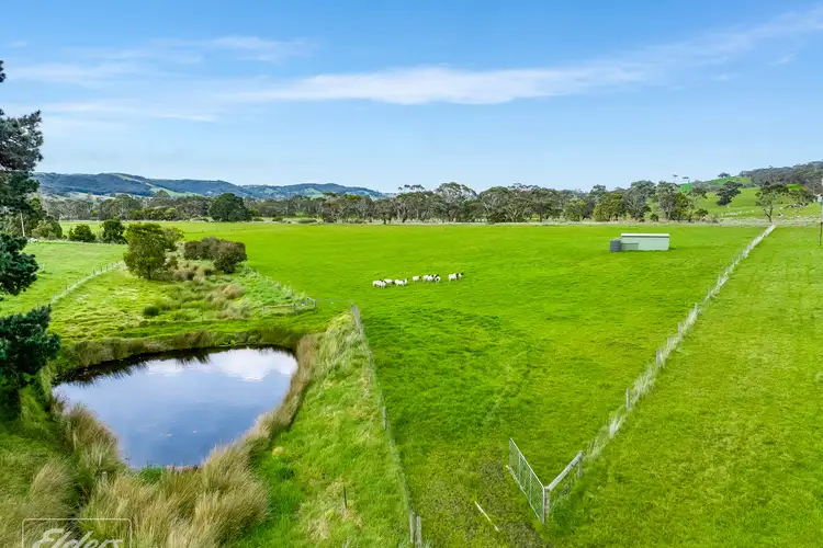 Main view of Homely rural property listing, Level 501 Springmount Road, Hindmarsh Tiers SA 5202