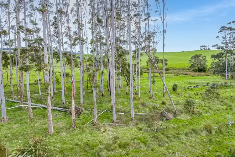 Fourth view of Homely rural property listing, Level 501 Springmount Road, Hindmarsh Tiers SA 5202