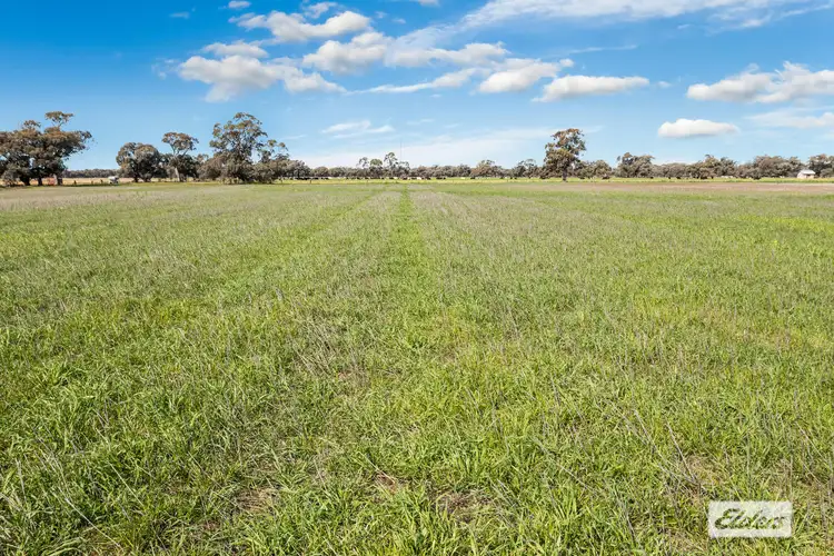 Second view of Homely rural property listing, Lawrys Road, Dingee VIC 3571