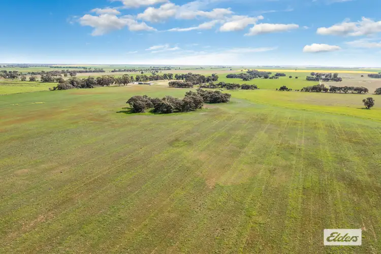 Third view of Homely rural property listing, Lawrys Road, Dingee VIC 3571