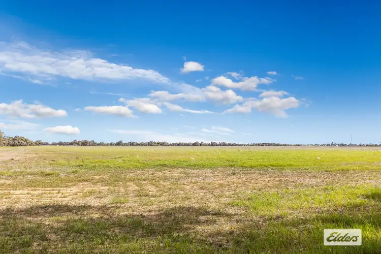 Fourth view of Homely rural property listing, Lawrys Road, Dingee VIC 3571