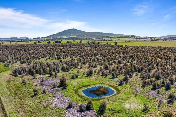 Second view of Homely land listing, CA49a Lucardies Road, Raglan VIC 3373