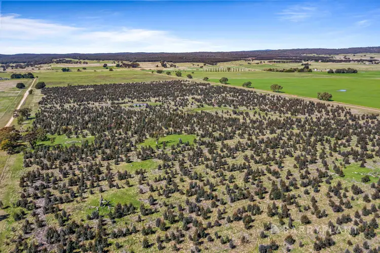 Fourth view of Homely land listing, CA49a Lucardies Road, Raglan VIC 3373