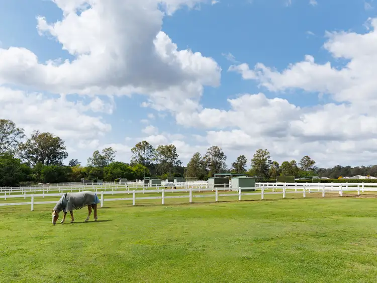 Seventh view of Homely rural property listing, 400 Priors Pocket Road, Moggill QLD 4070