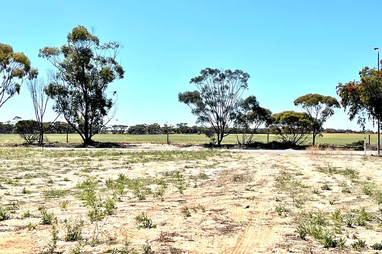 Second view of Homely land listing, 20 Bartley Street, Wudinna SA 5652