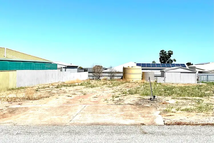 Fifth view of Homely land listing, 20 Bartley Street, Wudinna SA 5652