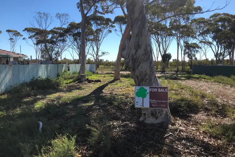 Second view of Homely land listing, 5 Ridley Street, Tammin WA 6409