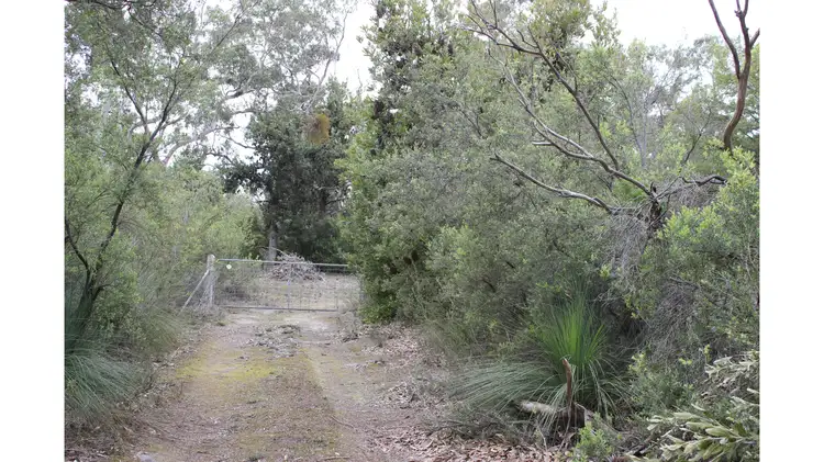 Main view of Homely rural property listing, 101 Yarram-Port Albert Road, Langsborough VIC 3971