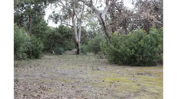 Third view of Homely rural property listing, 101 Yarram-Port Albert Road, Langsborough VIC 3971
