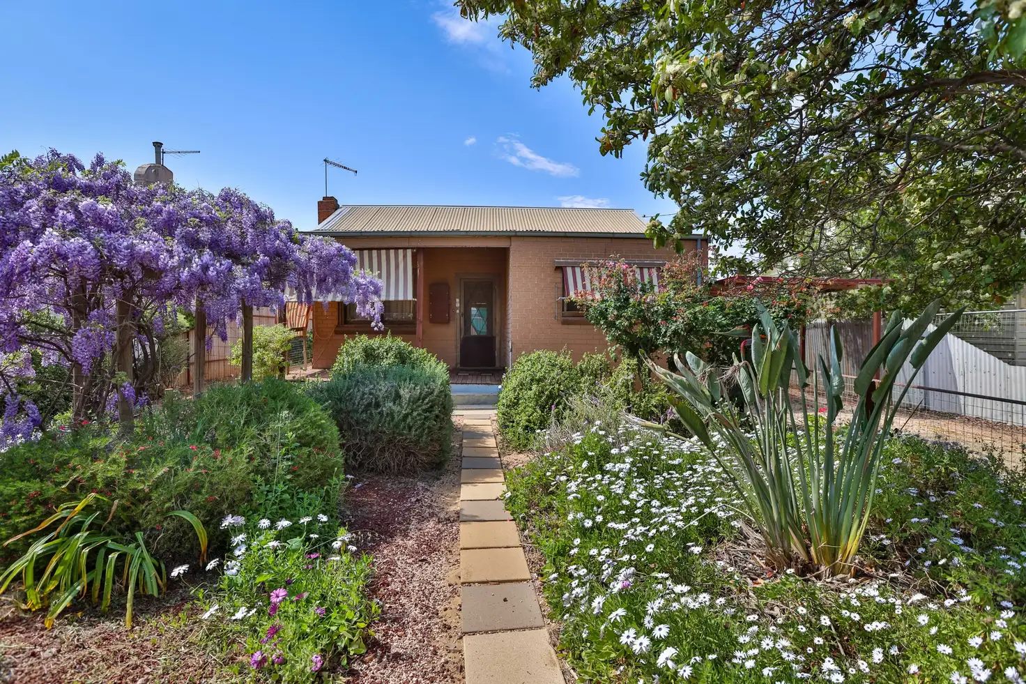 Main view of Homely house listing, 113 Jacaranda Street, Red Cliffs VIC 3496