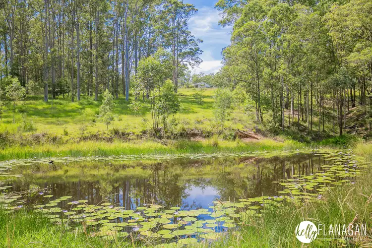 Fourth view of Homely rural property listing, 53 Ptolemys Access, Collombatti NSW 2440