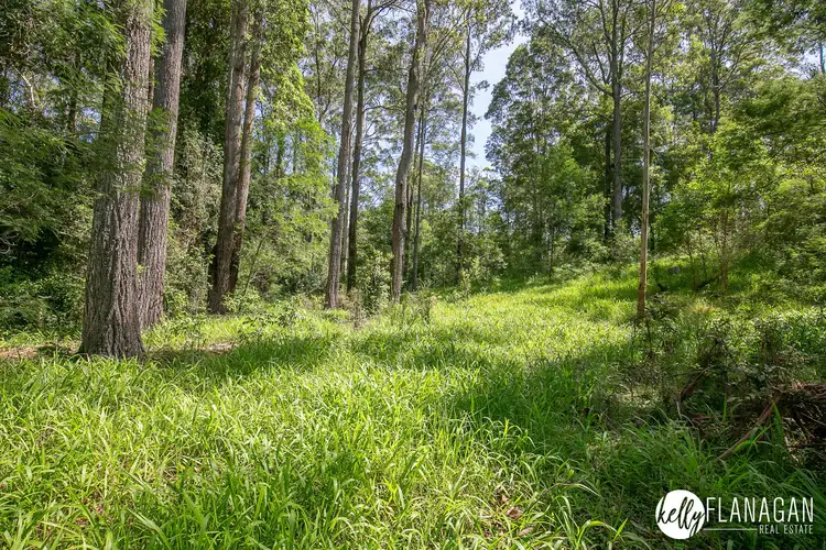 Fifth view of Homely rural property listing, 53 Ptolemys Access, Collombatti NSW 2440