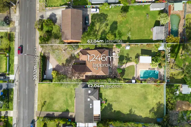 17 Tristram Road, Beacon Hill NSW 2100