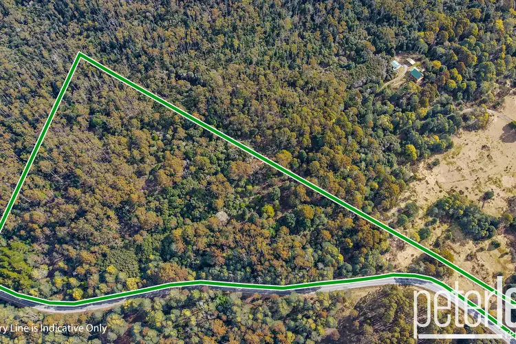 12555 Highland Lakes Road, Golden Valley TAS 7304