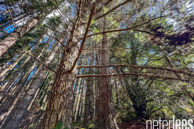 Third view of Homely house listing, 12555 Highland Lakes Road, Golden Valley TAS 7304