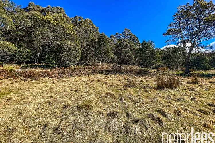 Fourth view of Homely house listing, 12555 Highland Lakes Road, Golden Valley TAS 7304