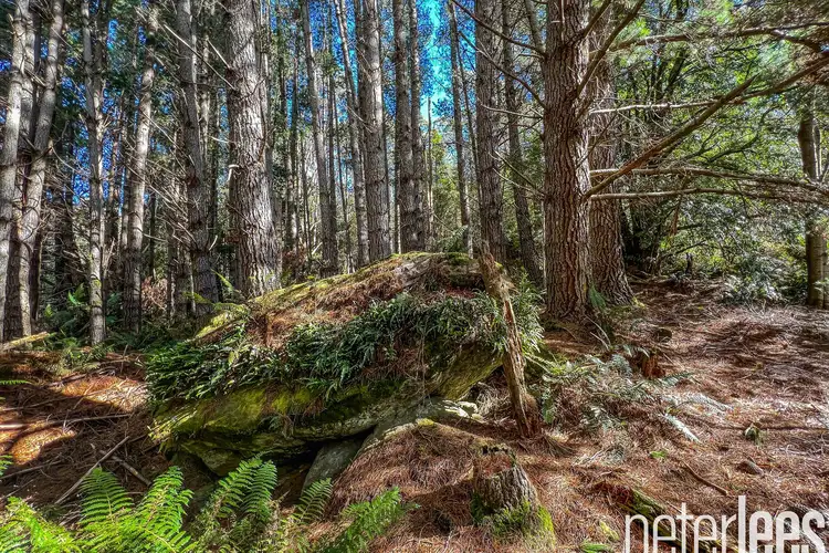 Seventh view of Homely house listing, 12555 Highland Lakes Road, Golden Valley TAS 7304