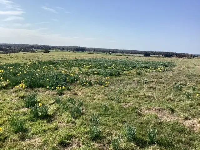 Fifth view of Homely rural property listing, Lot 2 (27) Judds Road, Scarsdale VIC 3351