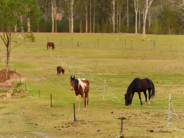 Fourth view of Homely rural property listing, 410 McKee Road, Theresa Park NSW 2570