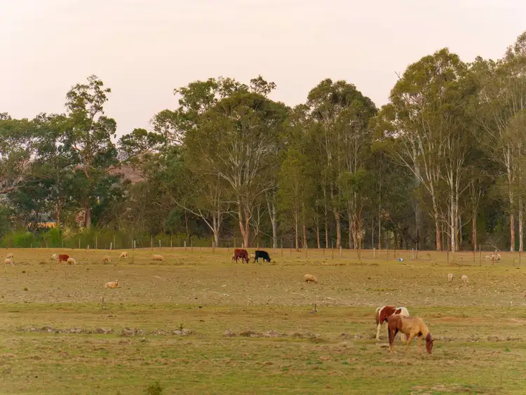 Sixth view of Homely rural property listing, 410 McKee Road, Theresa Park NSW 2570