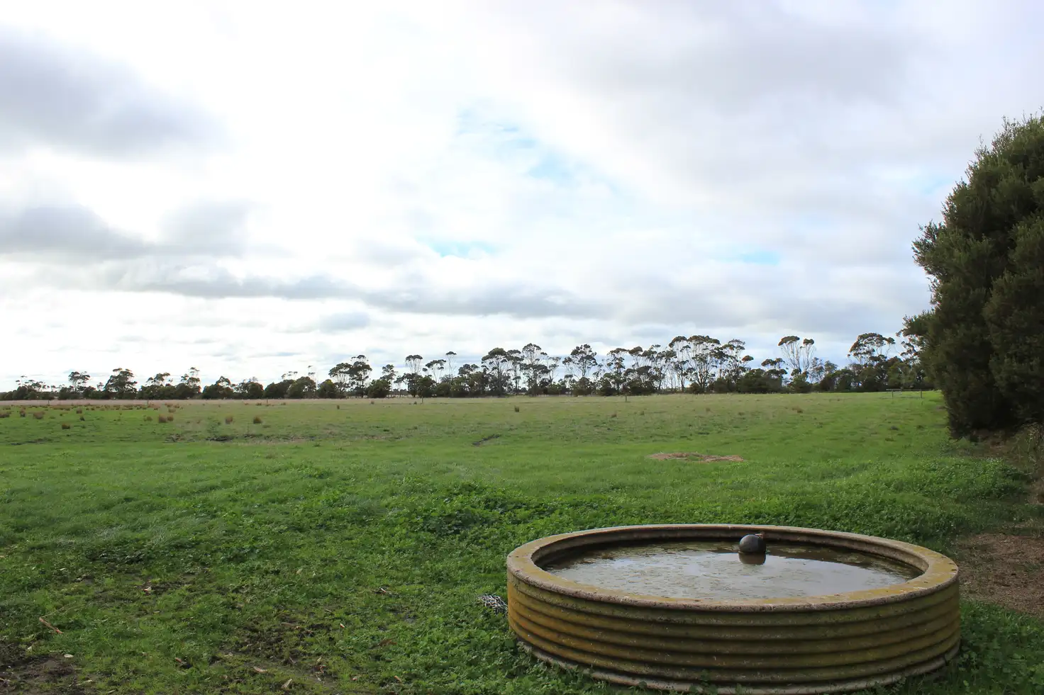 Main view of Homely rural property listing, Address available on request