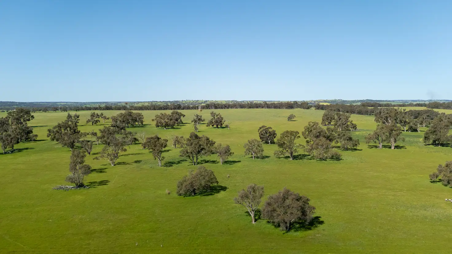 Main view of Homely rural property listing, Address available on request