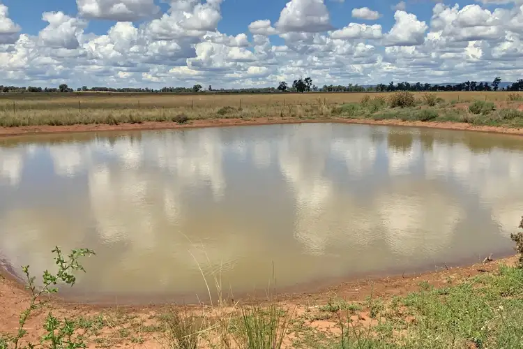 Fourth view of Homely rural property listing, 735 Sharahs Rd - "Part Verellen" Road, Tomingley NSW 2869