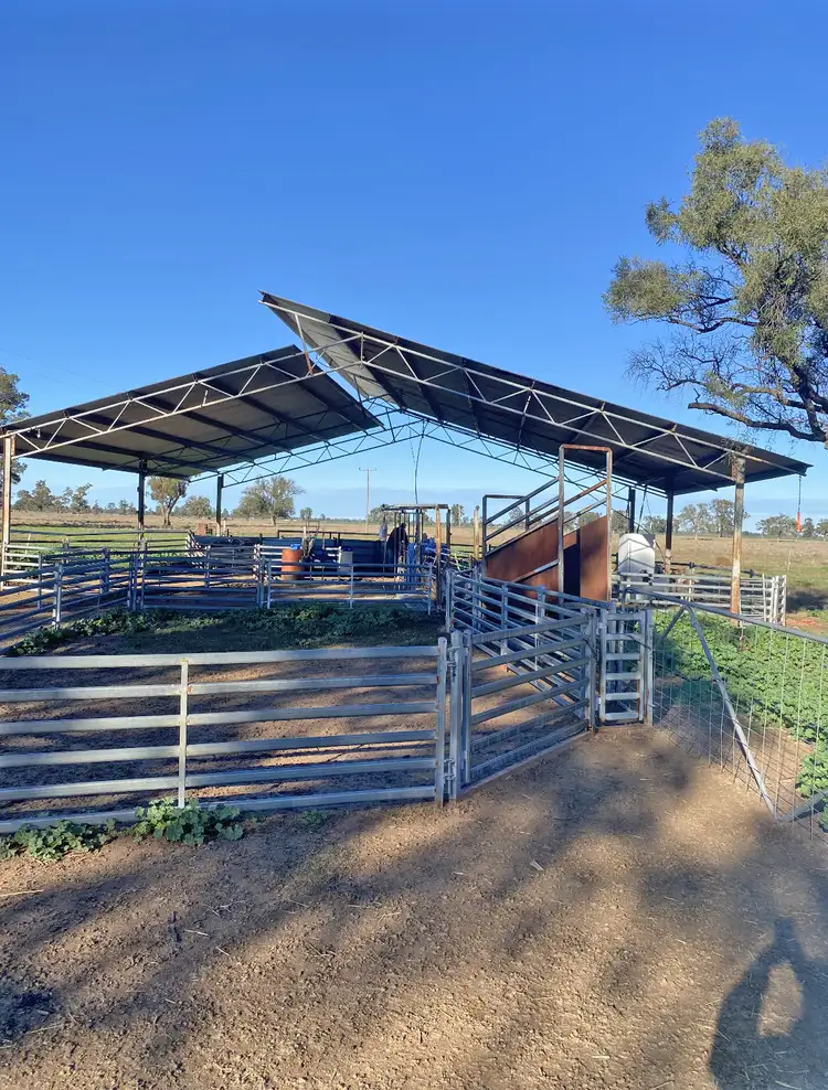 Fifth view of Homely rural property listing, 465 Bourbah Rd "Buena Vista" Road, Collie NSW 2827