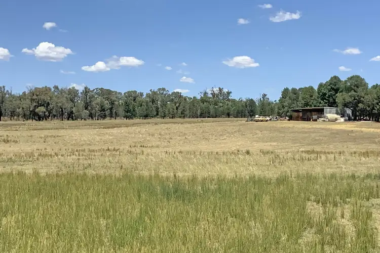 Fifth view of Homely rural property listing, 133L Narromine Rd - Nevillands Road, Dubbo NSW 2830