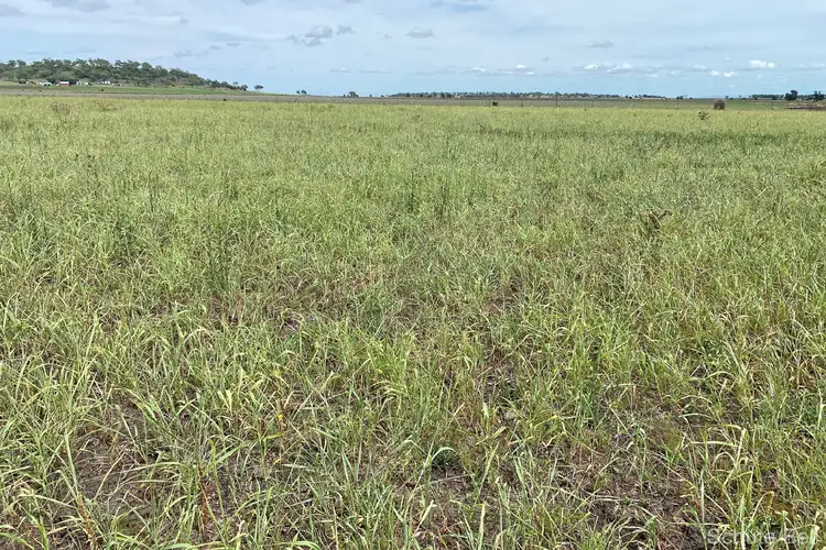 Third view of Homely rural property listing, Hillside Ruhle Road, Mount Tyson QLD 4356