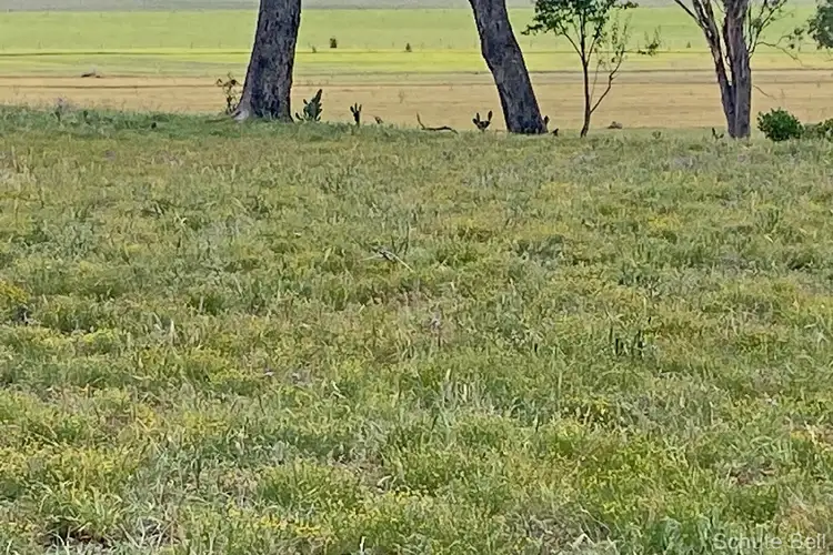 Sixth view of Homely rural property listing, Hillside Ruhle Road, Mount Tyson QLD 4356